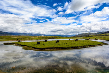 The Yarlung Zangbo River
