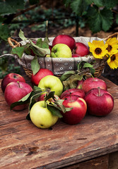 freshly harvested crop rustic apples