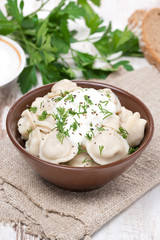 traditional Russian dumplings with sour cream in a bowl