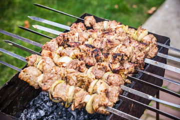 Shish kebab of the pork with the mix of spices