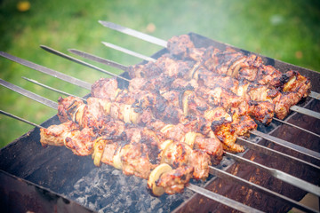 Shish kebab of the pork with the mix of spices