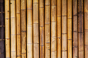 Background of old and dry bamboo fence