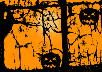 Ghost Pumpkin and spider on orange background