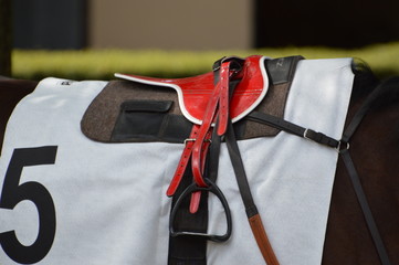 cheval de course