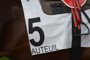 cheval de course
