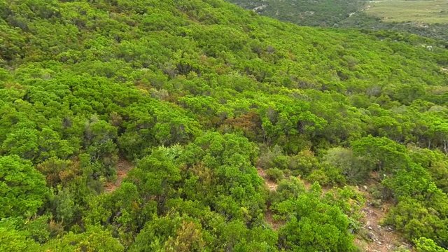 flying over macchia landscape in sardinia