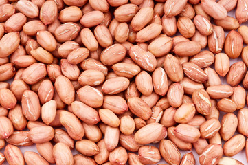Peanut close up