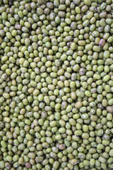 Mung beans
