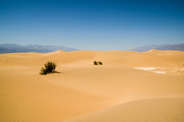 Fototapeta na wymiar sand dune landscape Death Valley National Park