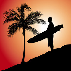 Sunset Surfer Palms