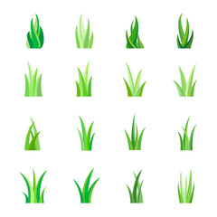 Green Grass, Isolated, Vector Illustration