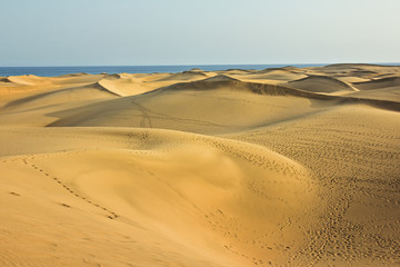 Fototapeta na wymiar Sanddünen am Meer – Gran Canaria