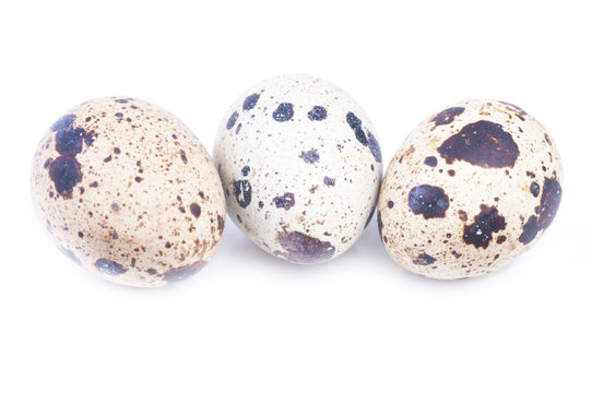 Quail Eggs Isolated On White 