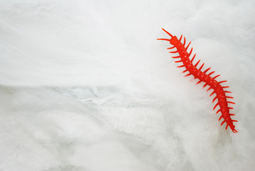 Toy Centipede Crawling on a Thick Spider Web