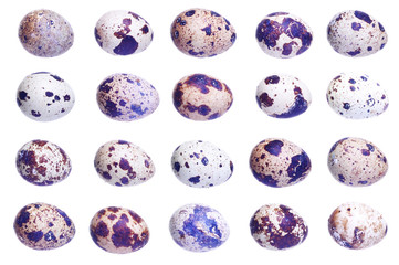 Quail Eggs Isolated On White 