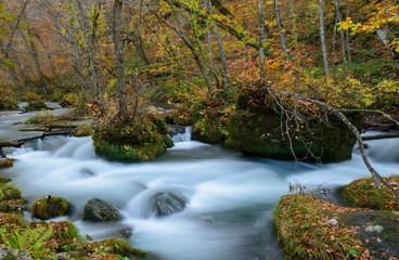 Oirase gorge in Autumn, in Aomori, Japan
