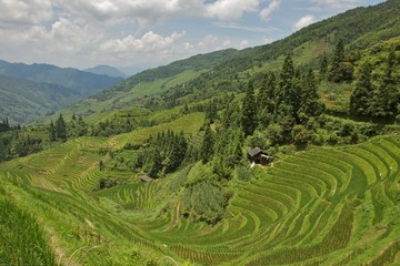 Fototapeta na wymiar Jongli Rice Terraces in Guilin, China