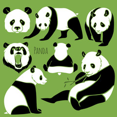 Set of Vector Panda silhouettes set
