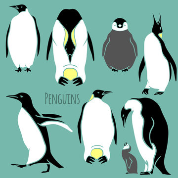 black and white penguin set