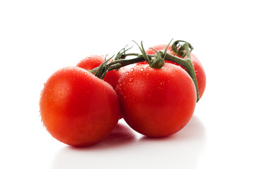 Tomatos