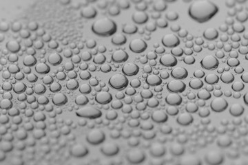 Water Drops grayscale