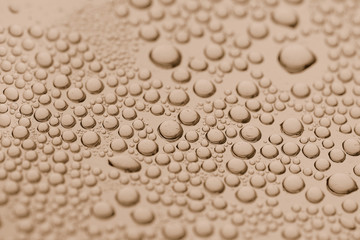 Fototapeta na wymiar Sepia Water Drops