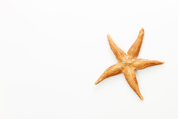 Fototapeta na wymiar gold starfish