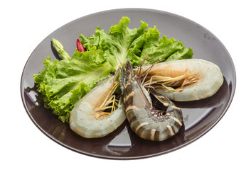 King and waterleg shrimps