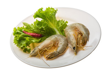 Tiger prawn