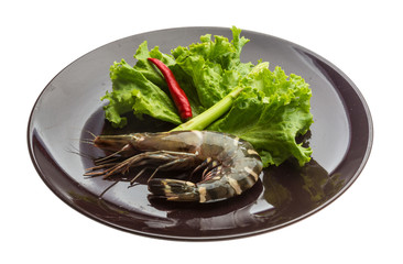 Tiger prawn