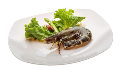 Tiger prawn