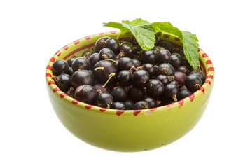 Black currant
