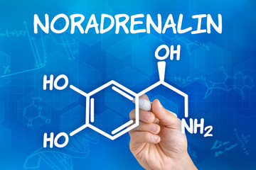 Hand mit Stift zeichnet chemische Strukturformel von Noradrealin