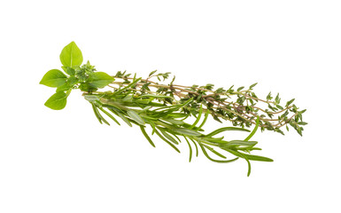 Fresh aroma herbs