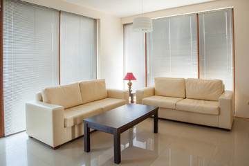 modern living room. interior