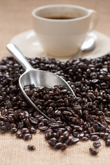 coffee bean