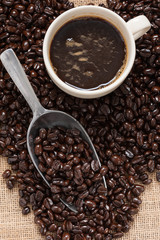 coffee bean