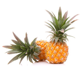 Pineapple tropical fruit or ananas