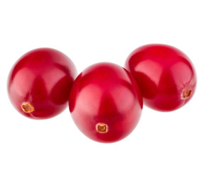 cranberry  isolated on white background cutout