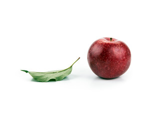 one red apple and leaf