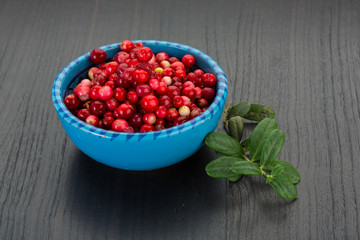 Cowberry