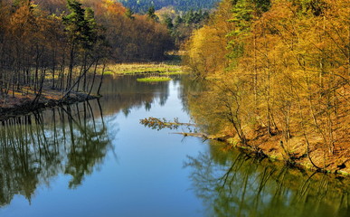 Krajobraz wiejski, jesień nad jeziorem