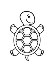 Fototapeta premium Süße niedliche Schildkröte