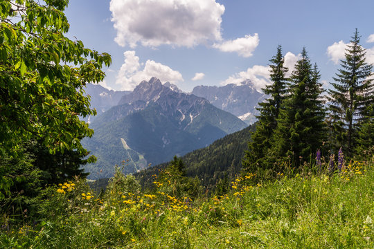 View from Mt. Dreil&auml;ndereck