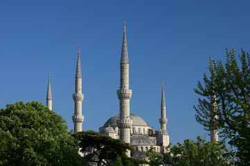 Fototapeta na wymiar Istanbul blue mosque