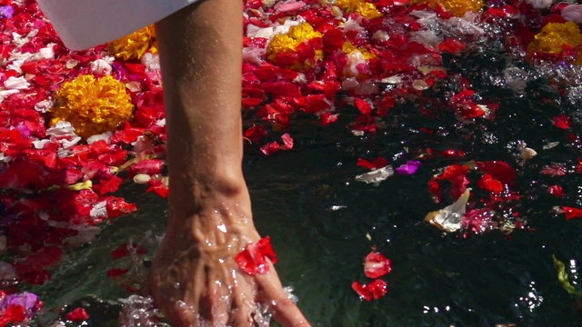 Woman checking water in bath of flowers, slow motion 240fps