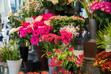 Street flower shop with colourful flowers