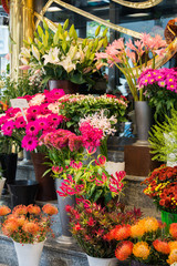 Fototapeta na wymiar Street flower shop with colourful flowers