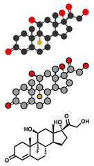 Fludrocortisone aldosterone hormone substitution drug molecule