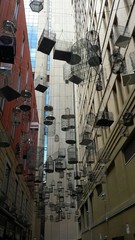 Birdcage in Australia